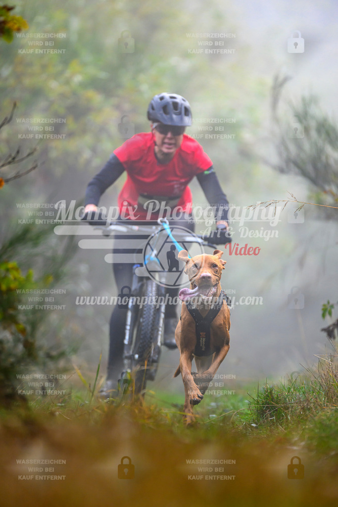 MompixPhotography_20TSB_E4_Bike-72 | PayLife