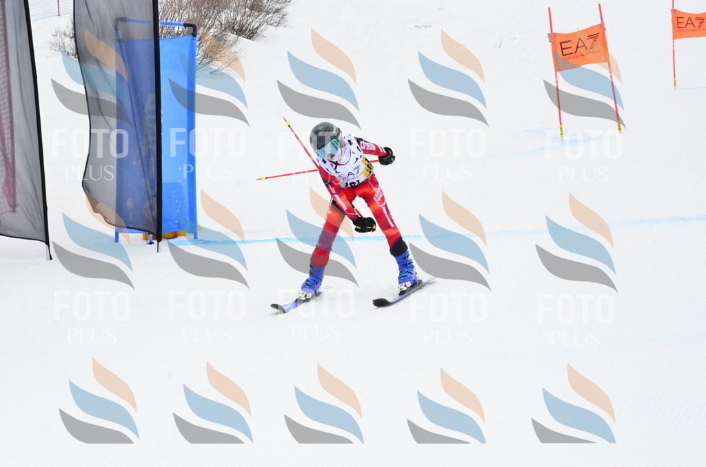 _ELE4000 | holidayphoto