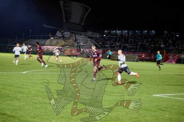 BFC Dynamo vs. ZFC Meuselwitz   019 | mythos-online-redaktion