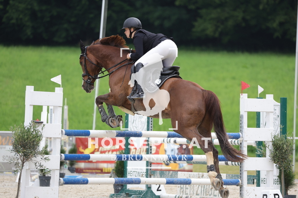 0P6A4328 | Willkommen bei Brunnmayr - Design & Fotografie – Ihrem Spezialisten für Reitturniere und Pferdeveranstaltungen in Oberösterreich, Salzburg und Bayern! Seit über 17 Jahren sind wir leidenschaftlich dabei.