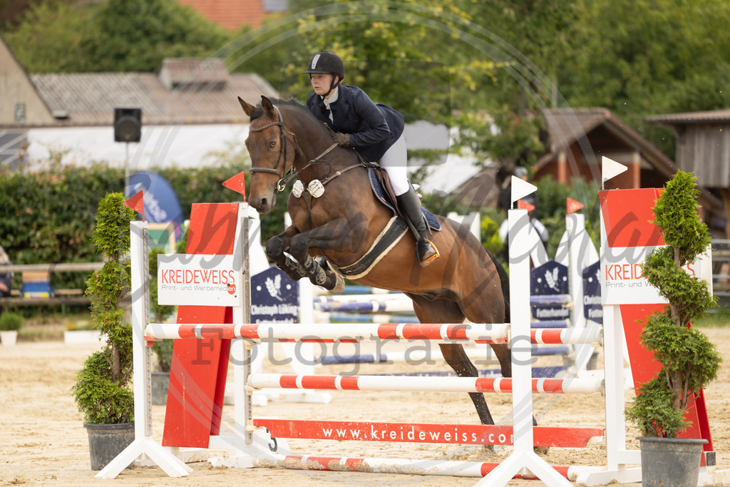 994A8750 | sabrinanicolaifotografie - Realisiert mit Pictrs.com