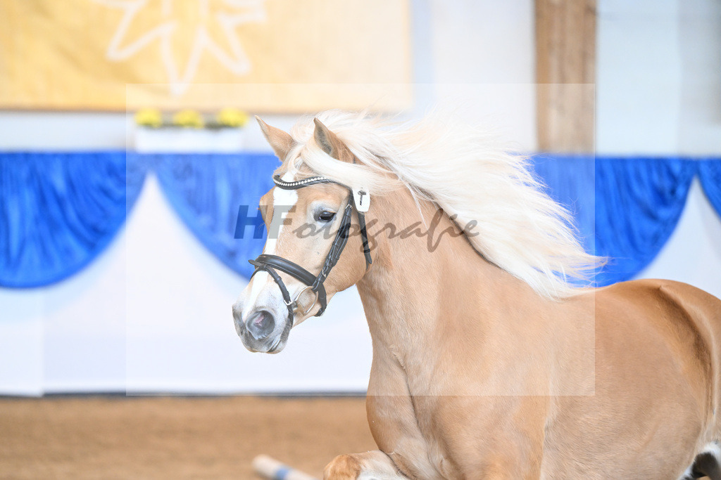 Kat-Nr. 7 Daria v. Armani Ass_Obermaier_60221125 | hf-fotografie - Realisiert mit Pictrs.com