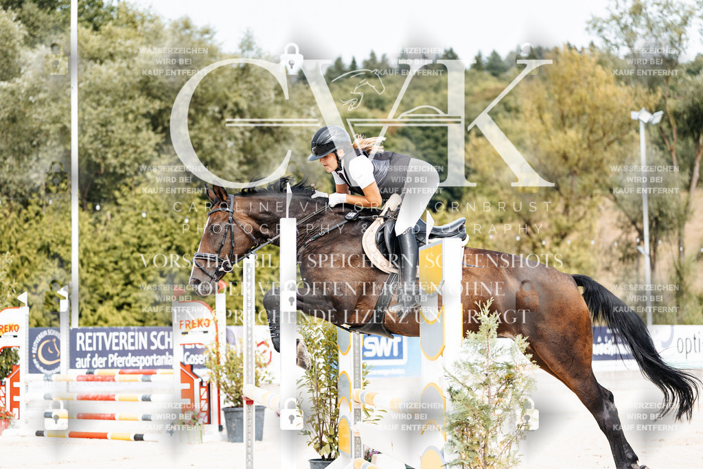 CK908841 | Turnierfotografie Pferdefotografie Trier Rheinland-Pfalz Pferdesport Reitsport Tierfotografie Sportfotografie Pferdevideo Pferdevideografie Equestrianvideography equestrianphotography  - Realisiert mit Pictrs.com