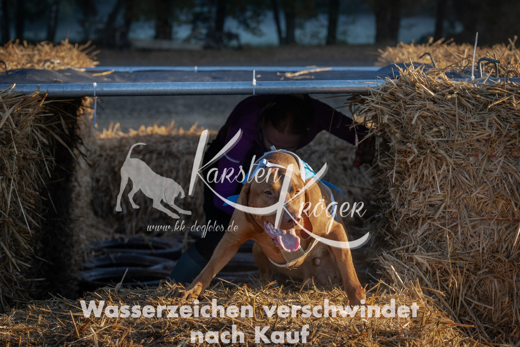 0903_ZZ90833 | kk-dogfotos