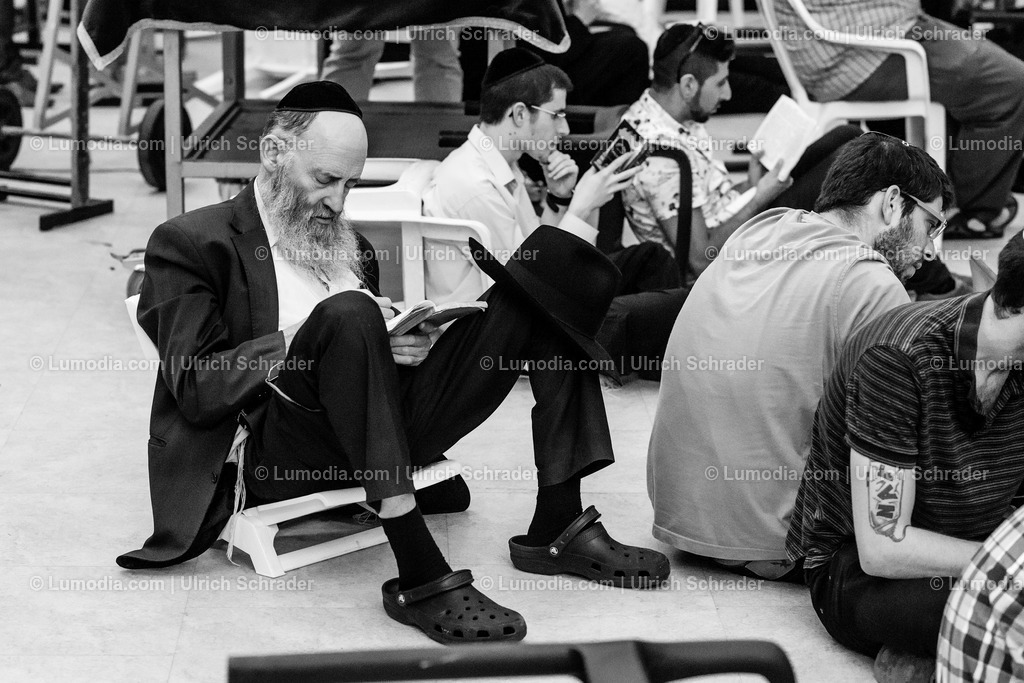 202510-169 | Stockfoto und Bilderpool mit Bildmaterial aus Deutschland, dem Harz, Halberstadt, Quedlinburg, Wernigerode und weltweit. Qualitativ hochwertige und professionelle Fotos anschauen und kaufen. - Realisiert mit Pictrs.com