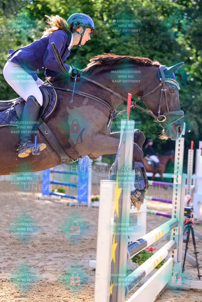 30082026-Giesenbach-Prfg16-0441 | Fokus Hufschlag Fotografie - Realisiert mit Pictrs.com