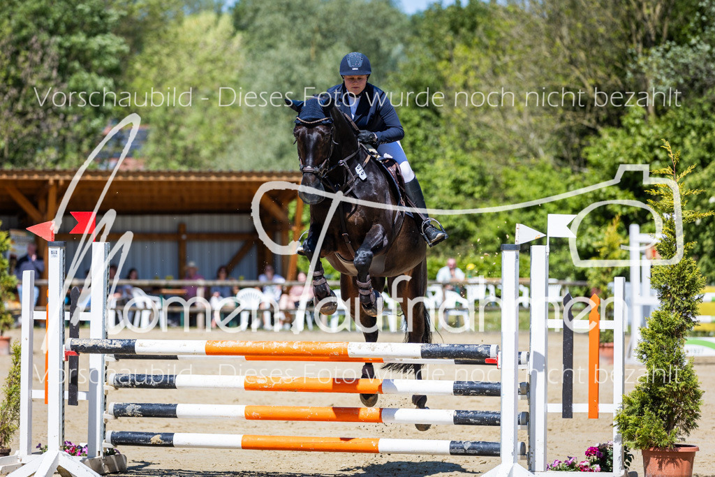 Donop24-ASprmstA-032 | MomenTaufnahmen Pferdesportfotos