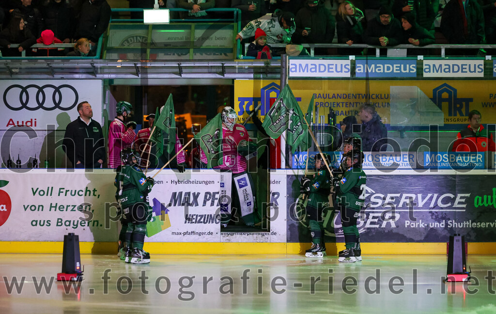 2025-10-24_005_TSV_Erding_gegen_Deggendorfer_SC | Erding, Deutschland, 24.10.2025:Eishockey, Oberliga Süd 2025 / 2026, 11. Spieltag, TSV Erding gegen Deggendorfer SC, Endergebnis: 2:4Torwart Leon Meder (Erding Gladiators, #39)Foto: Christian Riedel / fotografie-riedel.net