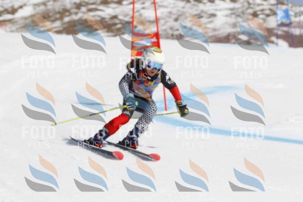 _U3G0946 | holidayphoto