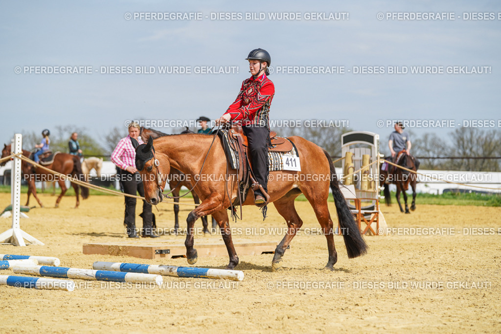 DSC04542 | Pferdegrafie