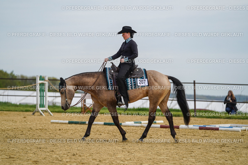 DSC03876 | Pferdegrafie