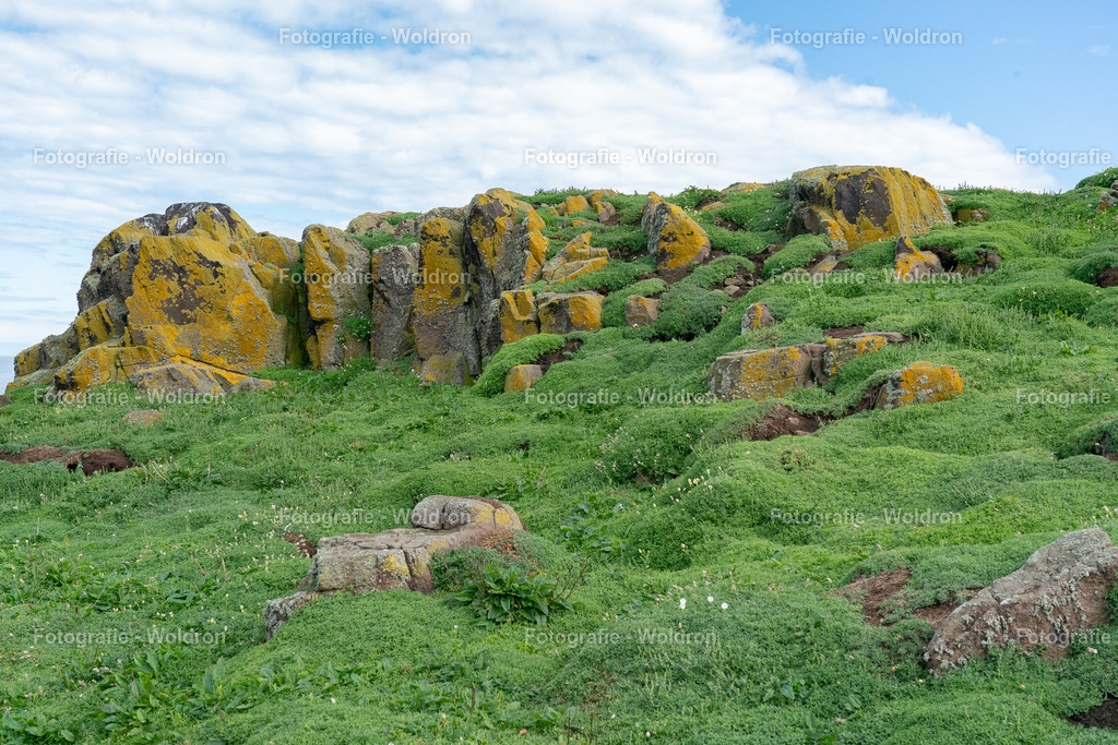 20230815 Isle of Sky - St.Andrews - Dundee-66 | Fotografie Woldron
