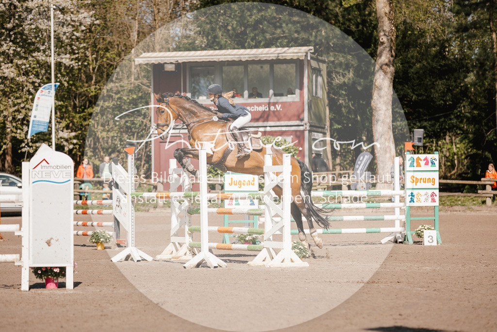 3I6A3953 | Stimmungsvolle Portraits und Reitsportfotografie im Ruhrgebiet und im Münsterland.

Pferdefotografie, Hundefotografie, Tierfotografie, Reportagen, Portraits von Tier und Mensch, Turnierfotografie in Bochum, Recklinghausen, Marl, Haltern am See, Dülmen.. - Realisiert mit Pictrs.com
