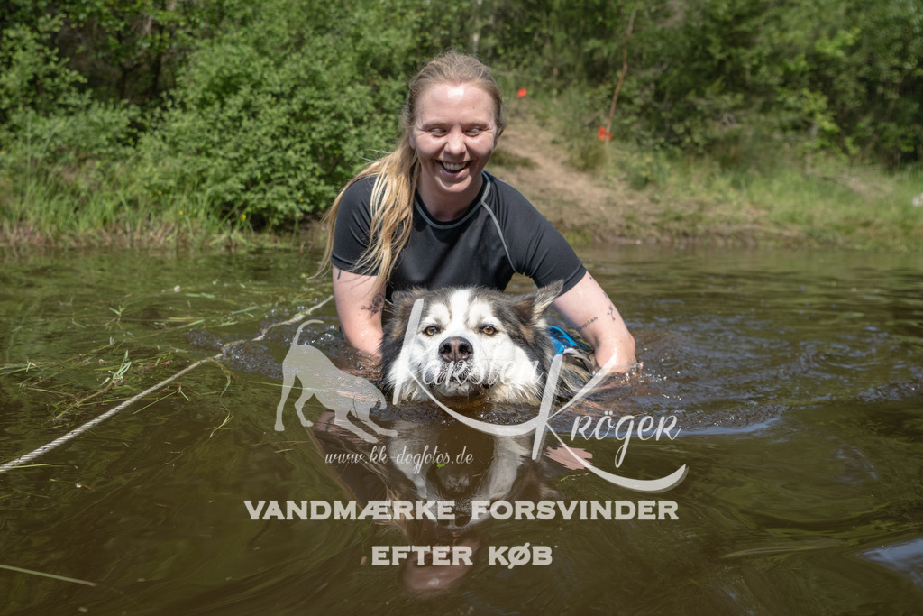 1039DKK991142 | kk-dogfotos