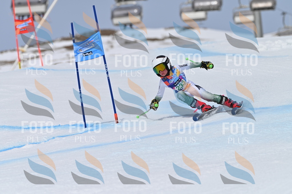 BGV_4621 | holidayphoto