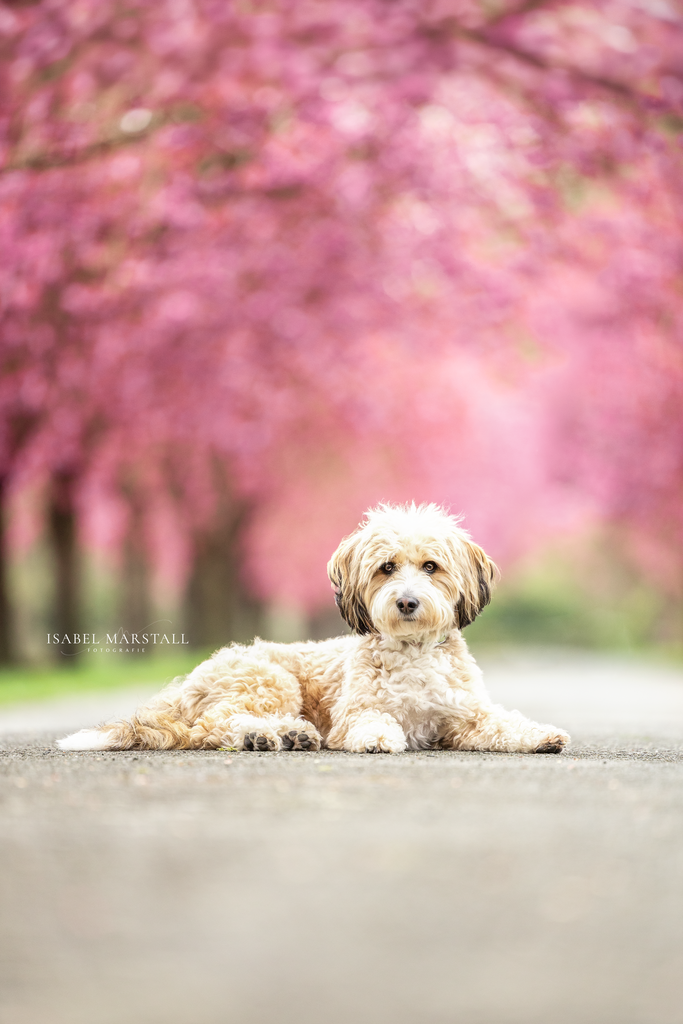 IM_56 | Isabel Marstall Fotografie - Realisiert mit Pictrs.com