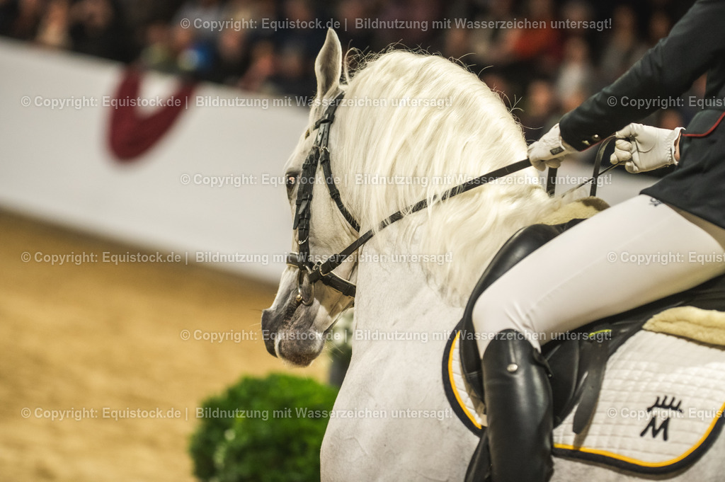 20240302_Hengstvorstellung_Marbach_TOMsPiC_1001 | equistock