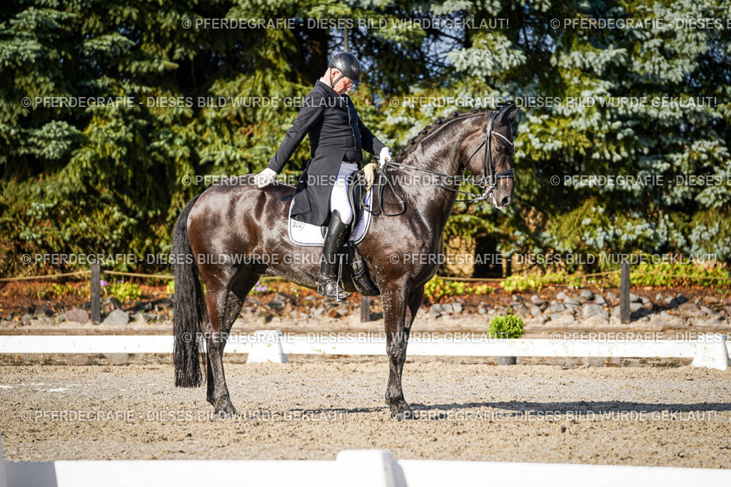 DSC00666 | Pferdegrafie