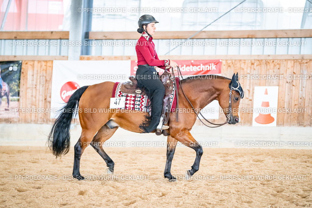 DSC02498 | Pferdegrafie