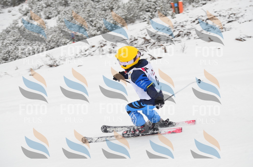 C0509 | holidayphoto