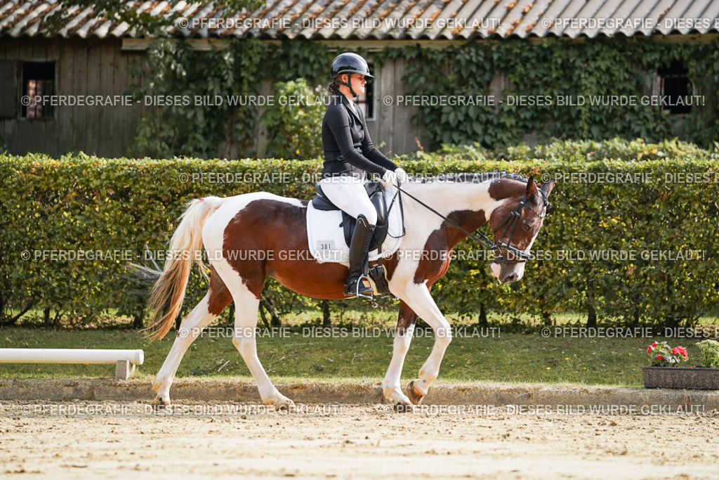 DSC04171 | Pferdegrafie