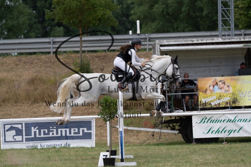 A7V02228 | Pferdefotograf