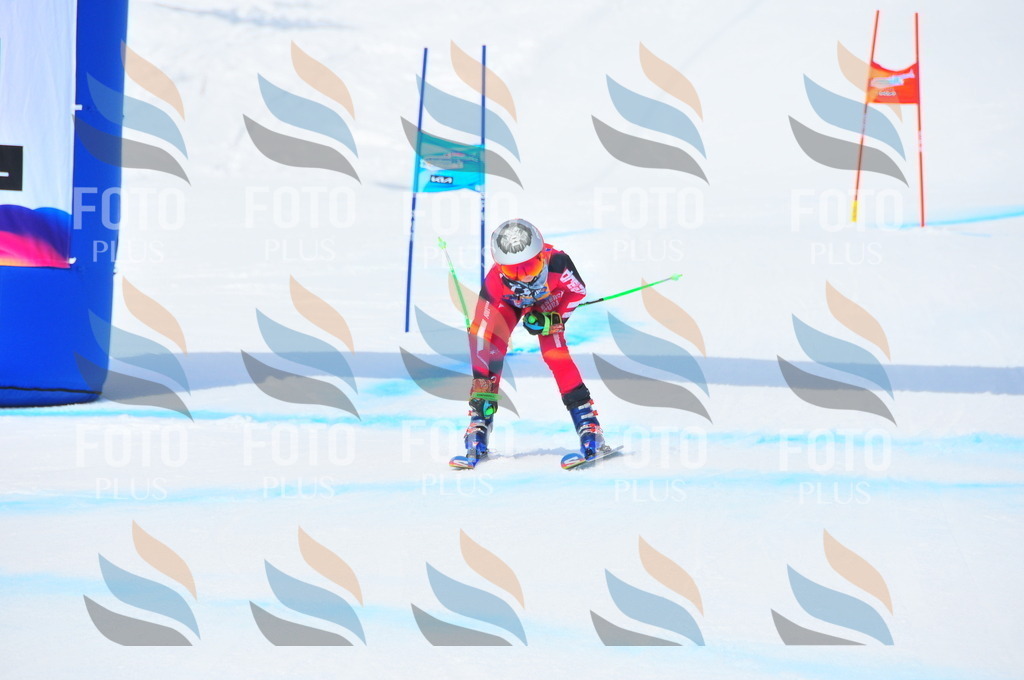 DSC_2810 | holidayphoto