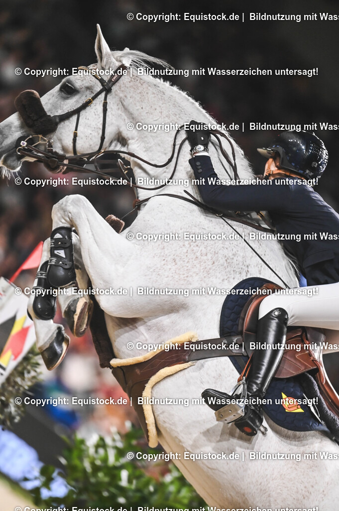 20241117_Großer-Preis_TOMsPiC_0259 | Foto: Thomas Hartig