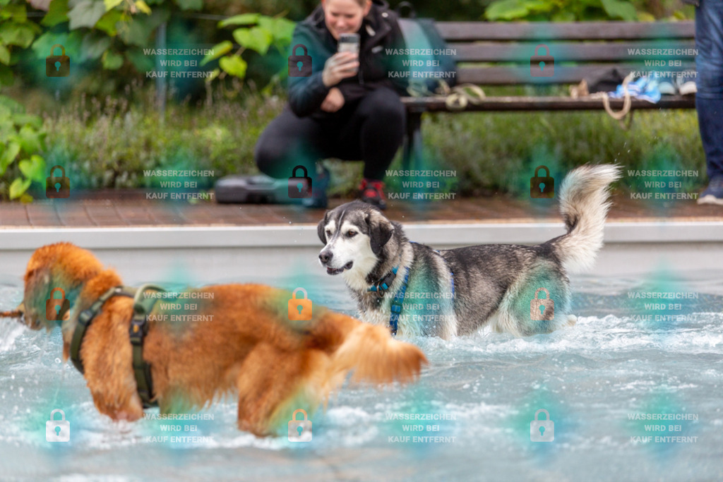 _HP_6261_1000o | HetPix, HetPix Fotodesign, Fotografie, Fotodesign, Webshop, Sportfotografie, Portraitfotografie, Onlineshop, Sportfotografie, Polch, Motorsportfotografie, Eventfotografie