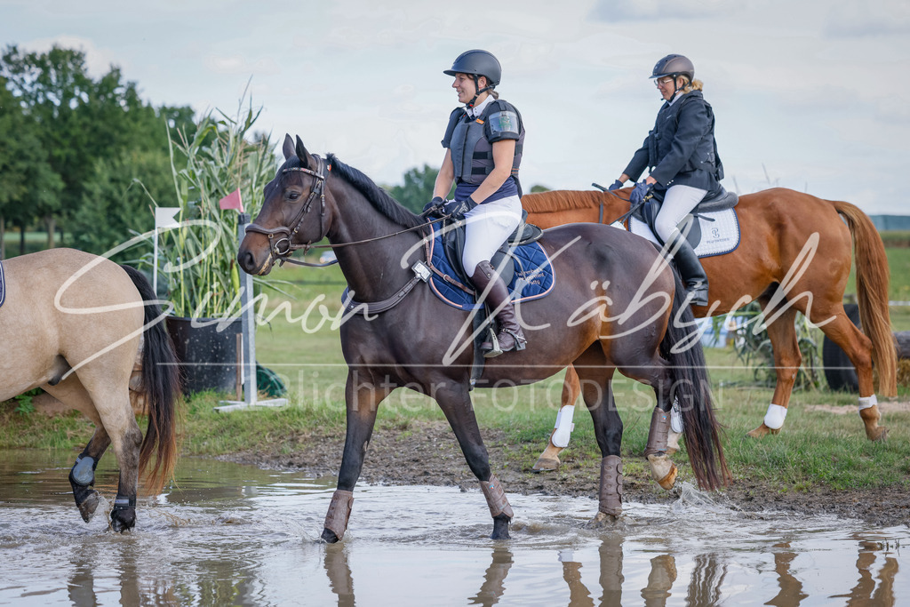 20250905-_3LI0285 | Tierfotografie Pferde, Hunde, Katzen, Haustiere.
Turnierfotografie Reitturniere, Reiten, Springreiten, Dressur in Hanau, dem Main-Kinzig-Kreis und dem Rhein-Main- Gebiet um Frankfurt