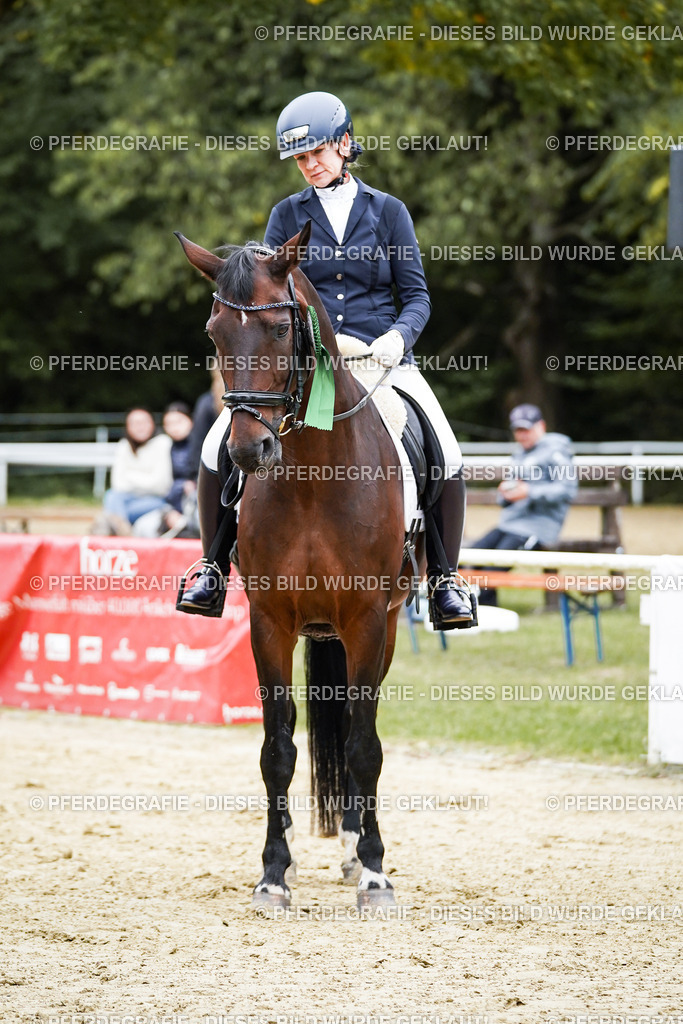 DSC02432 | Pferdegrafie