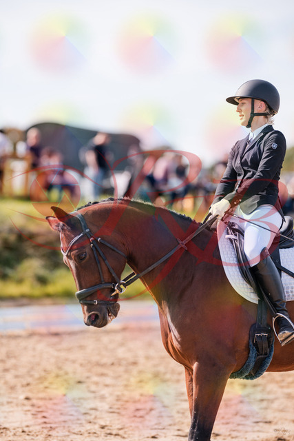 2026_10_03_Siefer-Hof_130827_Z81_60748215 | Professionelle Reitsport-, Turnier- und Eventfotografie von Robert Broda. Galerien mit ausgewählten und bearbeiteten Bildern direkt online ansehen und bestellen.