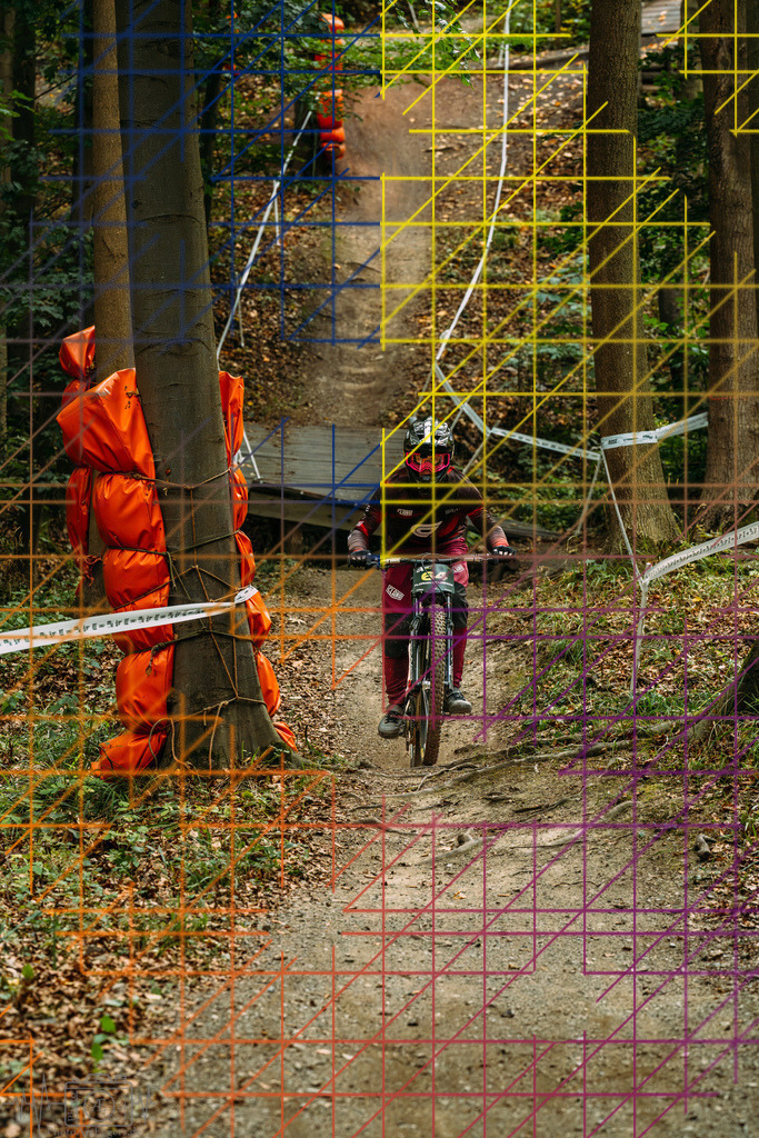 PAE-0487 | Einzigartige Fotokunst für dein Zuhause: Entdecke hochwertige Wandbilder, edle Prints und emotionale Motive von Wildlife, Natur und Landschaften - Realisiert mit Pictrs.com