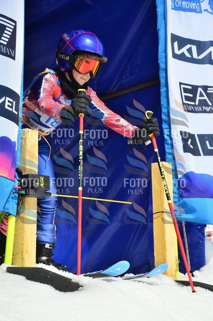 _ELE1272 | holidayphoto