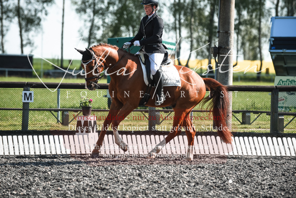 DSC_8746 | Pferde- und Turnierfotografie in Westsachsen. Pferdeportraits, Auftragszeichnungen und intuitive Kunst.
