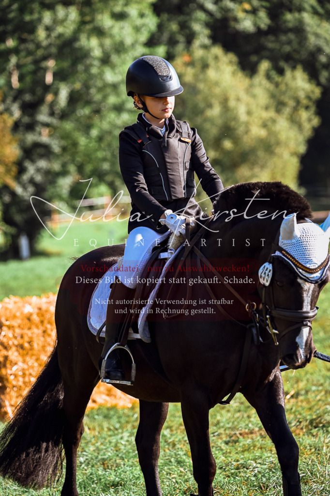 DSC_0361 | Pferde- und Turnierfotografie in Westsachsen. Pferdeportraits, Auftragszeichnungen und intuitive Kunst.