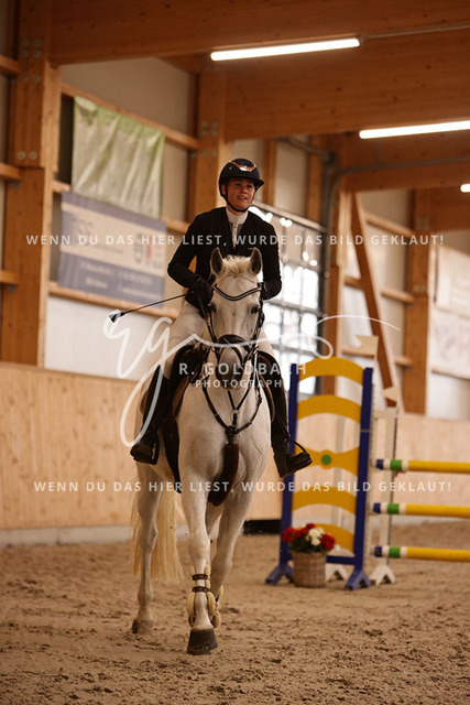 1J2A3911Luisa Teichmann_ Dara 29_ Kn203_ Hohen Wieschendorf_ Glantz | Foto- und Videografie für alles rund ums Pferd. Hochwertige Bilder und Videos vom Spring- und Dressurreiten, Voltigieren & mehr. Jetzt aktuelle Veranstaltungen und Preise im Shop ansehen. - Realisiert mit Pictrs.com