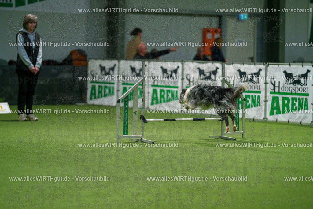 7R504436 | Professionelle Tierfotografie in Mönchengladbach von Daniel Wirth (allesWIRTHgut). Liebevolle & natürliche Bilder von Hunden & Katzen für unvergessliche Erinnerungen.