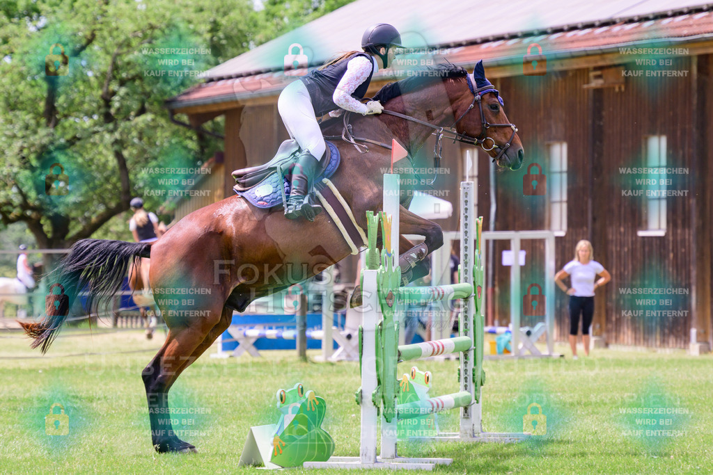 30052026-Forstinning-Prfg23-0038 | Fokus Hufschlag Fotografie - Realisiert mit Pictrs.com