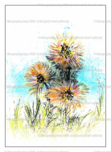 Asterngruß Variation 18 | Zeichnung von Vera Zschecked exclusiv auf titusgraphy.eu - Realisiert mit Pictrs.com
