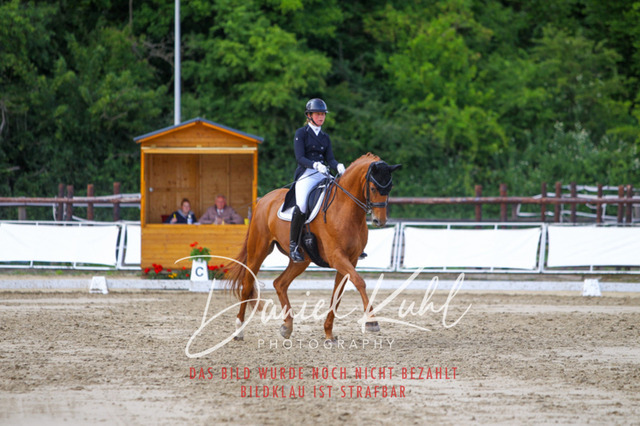 DKP48061 | Turnierfotos kaufen im Webshop von Daniel Kuhl Photography – entdecke professionelle Reitsportfotos aus Turnieren & Events. Hochwertige Turnierbilder online bestellen & sichern. Jetzt Fotos von Reitsportturnieren kaufen!