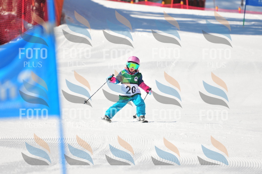 C1936 | holidayphoto