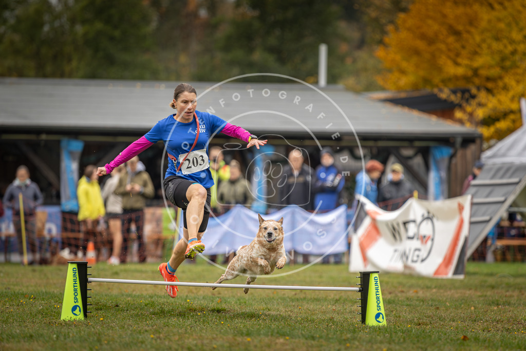 Pfotenfotografie_DV3A1652 | Hundefotografie, Tierfotograf, Pfotenfotografie, Fotoshooting Hund, Hunde Portrait, Hundesport, Hundeportraits, Heideshooting, Hunde, Sportfotograf, Hundefotograf, Turnierhundsport, THS,  - Realisiert mit Pictrs.com