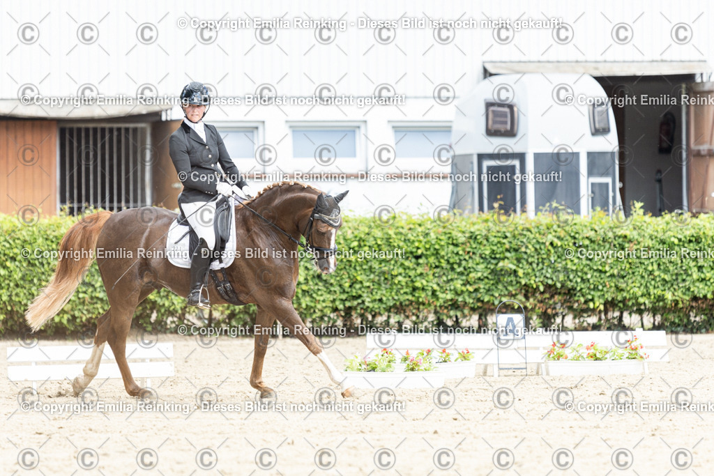 CL5A4510-2 | Emilia Reinking Fotografie - Realisiert mit Pictrs.com