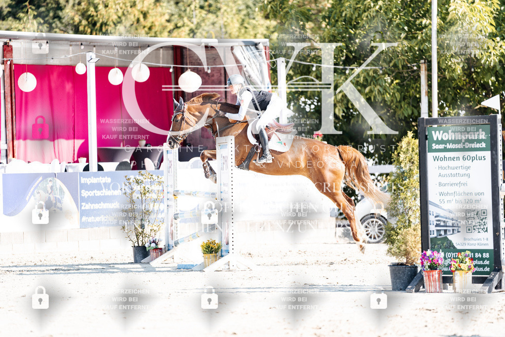 CK901871 | Turnierfotografie Pferdefotografie Trier Rheinland-Pfalz Pferdesport Reitsport Tierfotografie Sportfotografie Pferdevideo Pferdevideografie Equestrianvideography equestrianphotography  - Realisiert mit Pictrs.com