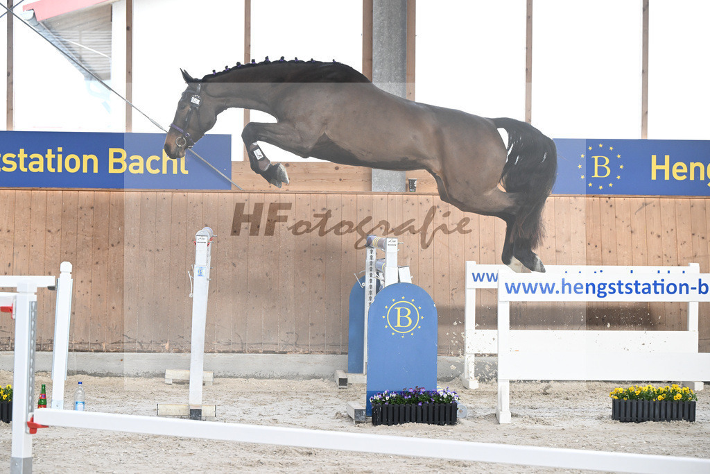 Kat-Nr. 40 Emma von Imhoff v. Cornet Obolensky_Imhoff_5250592 | hf-fotografie - Realisiert mit Pictrs.com