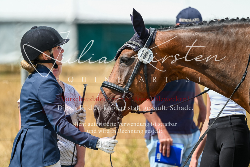 DSC_2708 | Pferde- und Turnierfotografie in Westsachsen. Pferdeportraits, Auftragszeichnungen und intuitive Kunst.