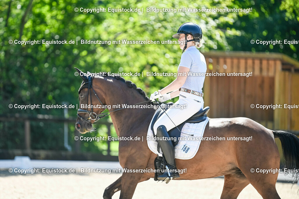 20230908_06_Dressur-L-Trense_0670 | equistock