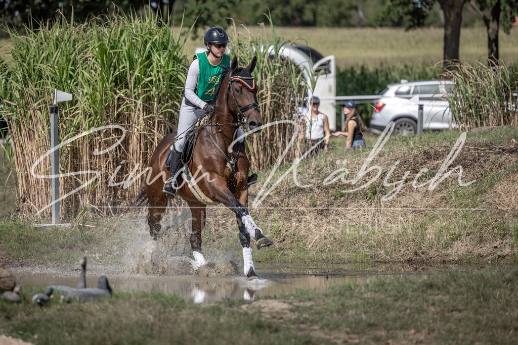 20250907-_3LI0761 | Tierfotografie Pferde, Hunde, Katzen, Haustiere.
Turnierfotografie Reitturniere, Reiten, Springreiten, Dressur in Hanau, dem Main-Kinzig-Kreis und dem Rhein-Main- Gebiet um Frankfurt
