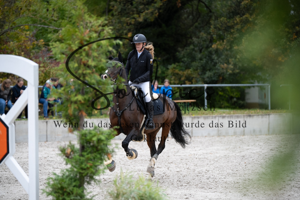 A7V08245 | Pferdefotograf